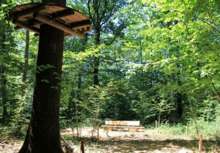 Parc Aventure dans la Nievre